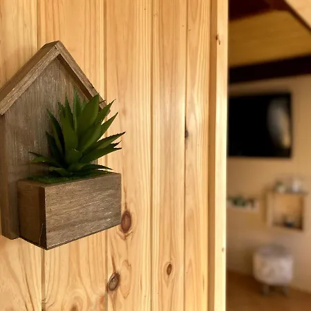 Chalet Chaleureux En Bord De